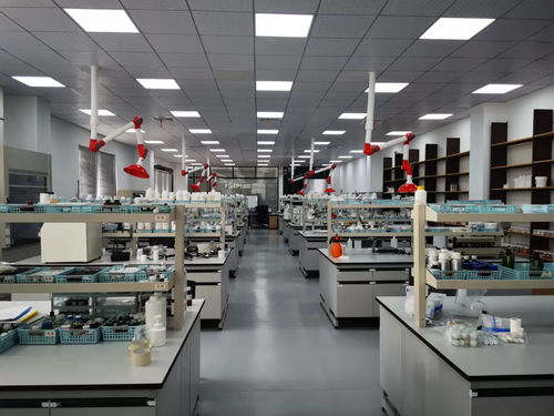 网红工厂丨集中日韩所长，这家工厂要做精品商城